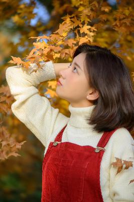 大地资源免费更新在线播放