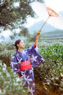 小小水蜜桃电视剧陈情令,蜜丝婷大草莓和小草莓对比